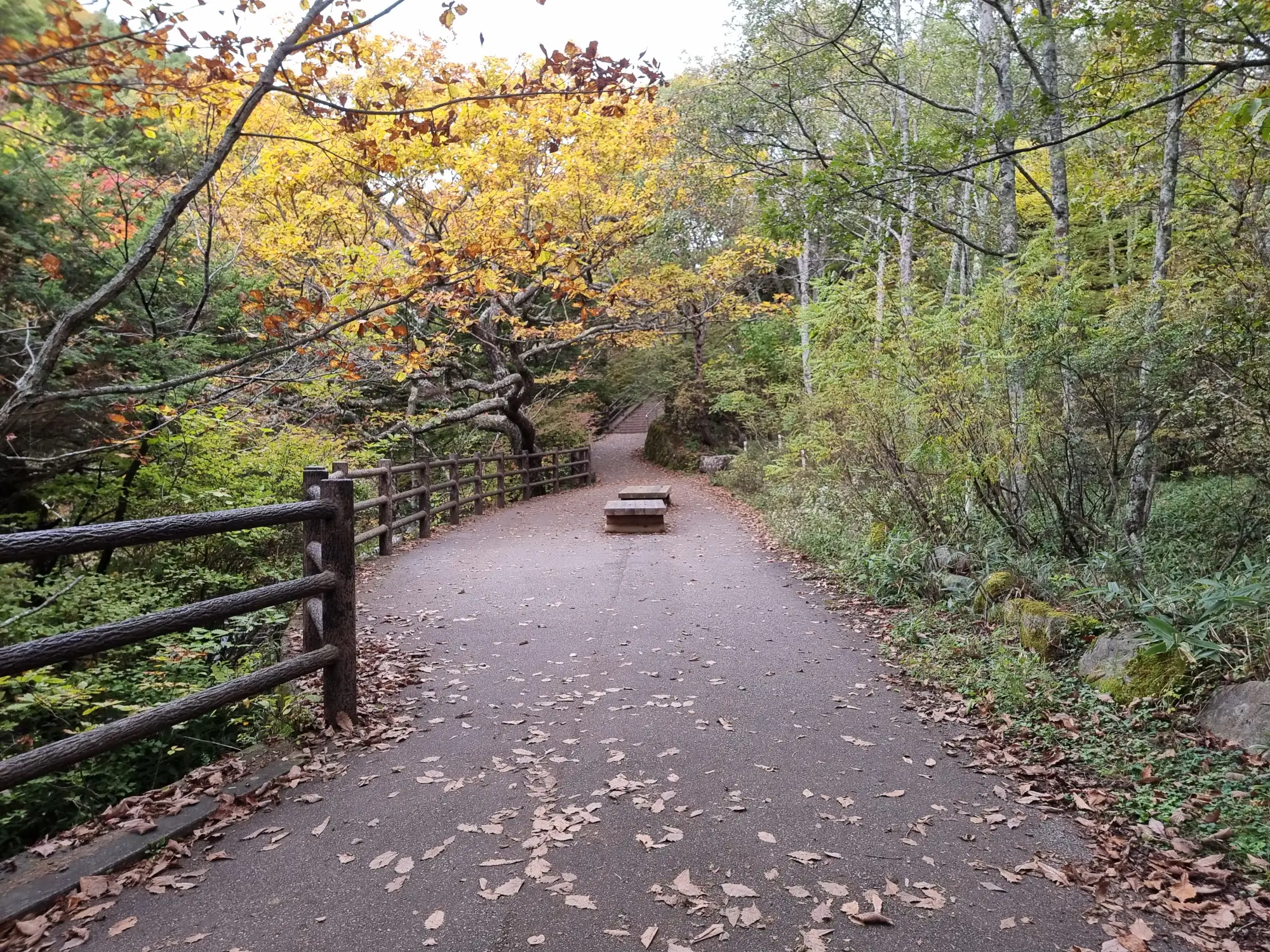 Ryuzu Cascades (Nikko, Tochigi Prefecture, Japan) Photo Taken by Punyapat